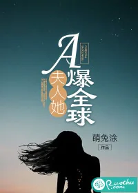《夫人她A爆全球》小说封面