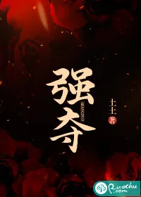 《强夺》小说封面