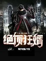《绝顶狂婿》小说封面