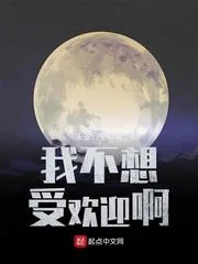 《我不想受欢迎啊》小说封面