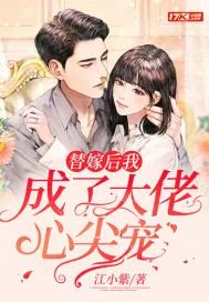 《替嫁后我成了大佬心尖宠》小说封面