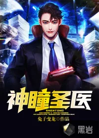 《神瞳圣医》小说封面