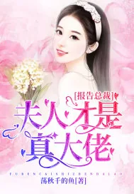 《报告总裁:夫人才是真大佬》小说封面