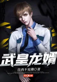 《武皇龙婿》小说封面