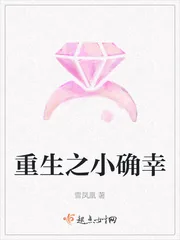 《重生之小确幸》小说封面