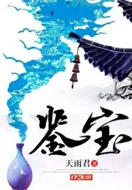 《鉴宝》小说封面
