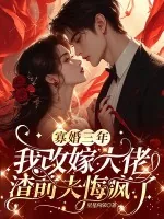 《寡婚三年我改嫁大佬，渣前夫悔疯了》小说封面