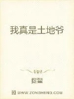 《我真是土地爷》小说封面