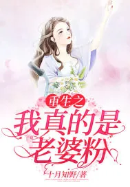 《重生之我真的是老婆粉》小说封面