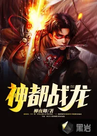《神都战龙》小说封面