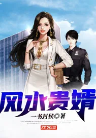 《风水贵婿》小说封面