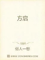 《方启》小说封面