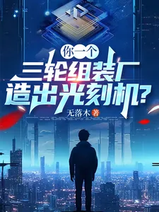 《你一个三轮组装厂,造出光刻机?》小说封面