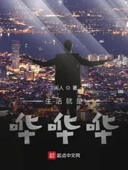 《生活就是哗哗哗》小说封面