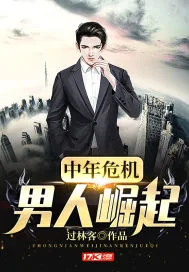 《中年危机：男人崛起》小说封面