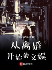 《从离婚开始的文娱》小说封面