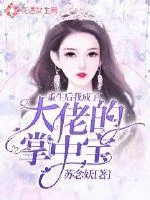 《重生后我成了大佬的掌中宝》小说封面