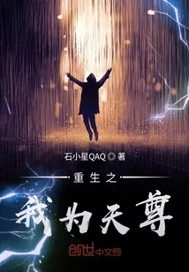 《重生之我为天尊》小说封面
