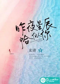 《昨夜星辰恰似你》小说封面