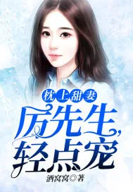 《枕上甜妻：厉先生，轻点宠》小说封面