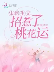 《宋医生又招惹了桃花运》小说封面