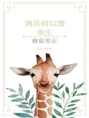 《清风何以度余生》小说封面