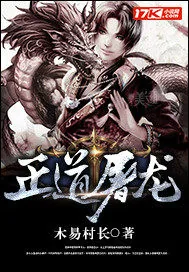 《正道屠龙》小说封面