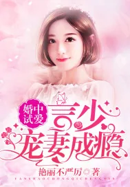 《婚中试爱:言少宠妻成瘾》小说封面