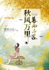 《秋风万里暮雨千家》小说封面
