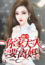 《顾少,你家夫人要离婚》小说封面