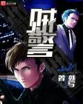 《贼警》小说封面