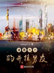 《诸葛大力的开挂男友》小说封面
