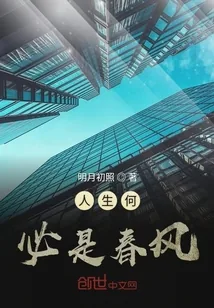 《人生何必是春风》小说封面
