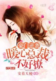《豪门逆袭：暖心总裁不好撩》小说封面