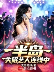 《半岛:失眠艺人连线中》小说封面