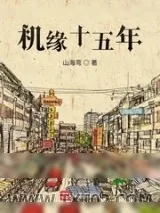 《机缘十五年》小说封面