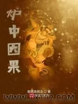 《炉中因果》小说封面