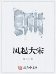 《风起大宋》小说封面