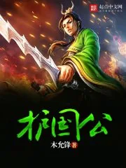 《护国公》小说封面