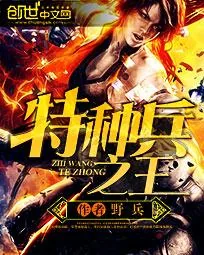 《特种兵之王》小说封面