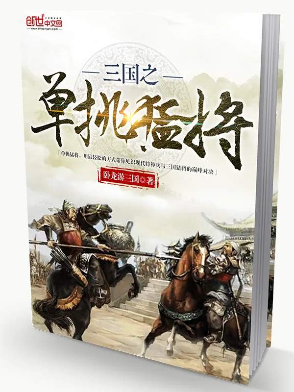 《三国之单挑猛将》小说封面