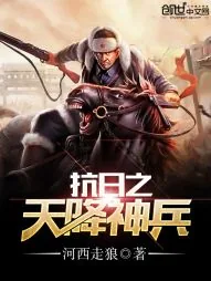 《抗日之天降神兵》小说封面