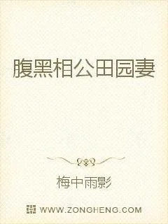 《腹黑相公田园妻》小说封面
