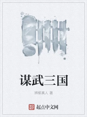 《谋武三国》小说封面