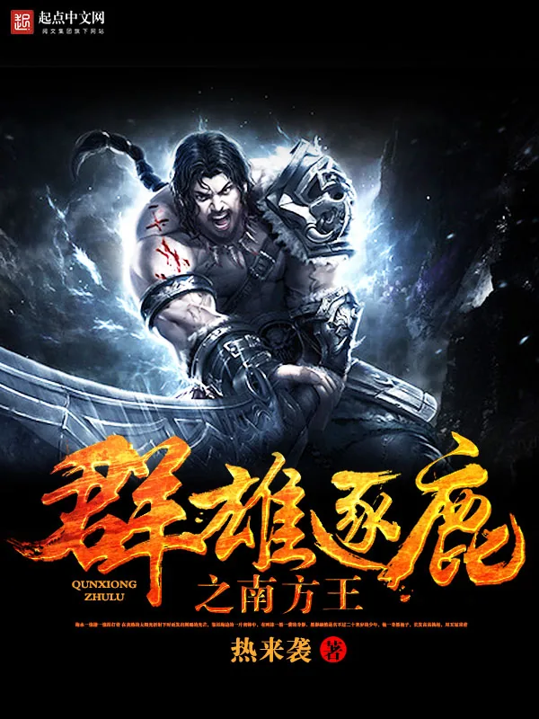 《群雄逐鹿之南方王》小说封面