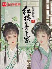 《红楼:金钗请自重,我是搜查官》小说封面