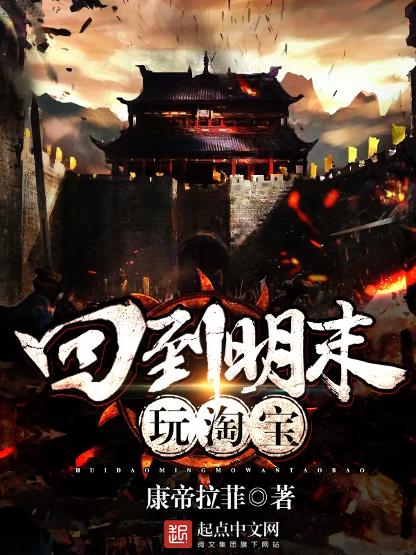 《回到明末玩淘宝》小说封面