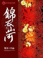 《锦衣山河》小说封面