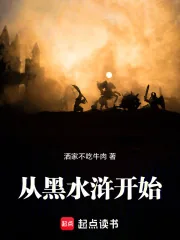 《从黑水浒开始》小说封面