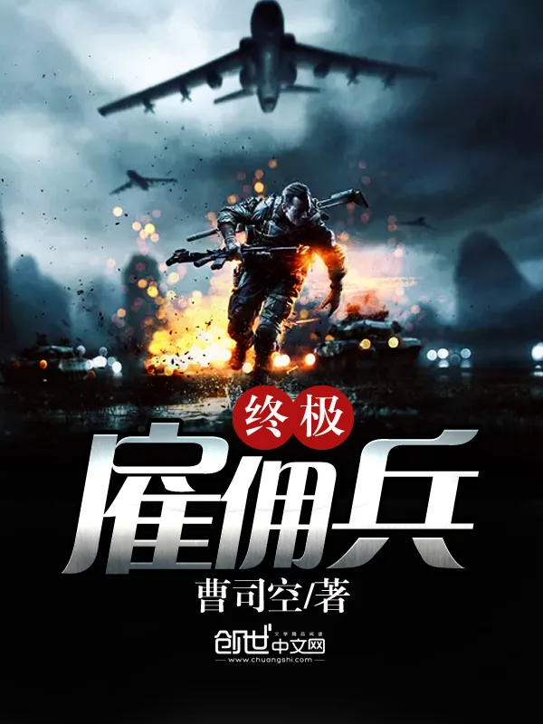 《终极雇佣兵》小说封面